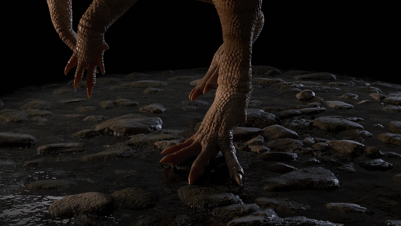 a video showing Labrujasuchus expectatus from all angles a video showing Labrujasuchus expectatus from all angles