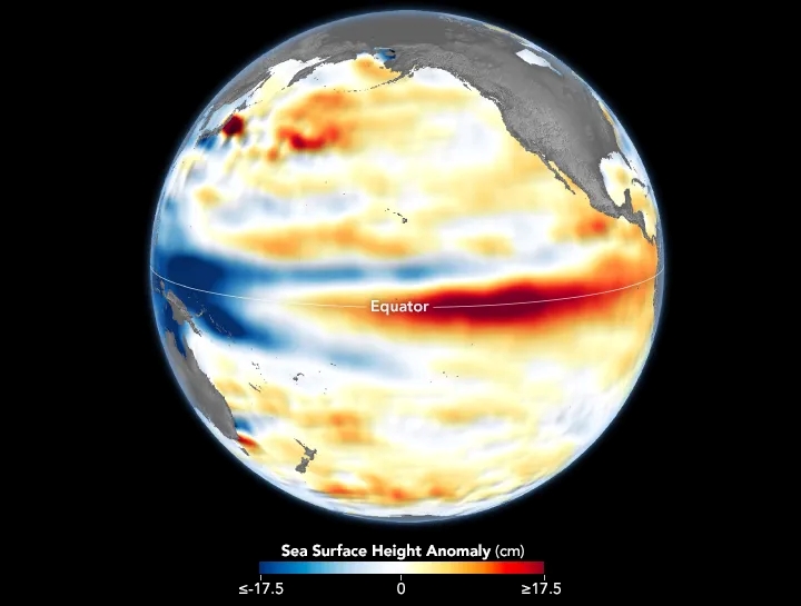 Diagram showing the degree of sea level anomaly associated with El Niño over the Pacific Ocean in December 2023. Diagram showing the degree of sea level anomaly associated with El Niño over the Pacific Ocean in December 2023.
