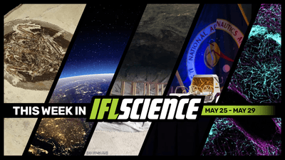 All the biggest science news stories of the week.