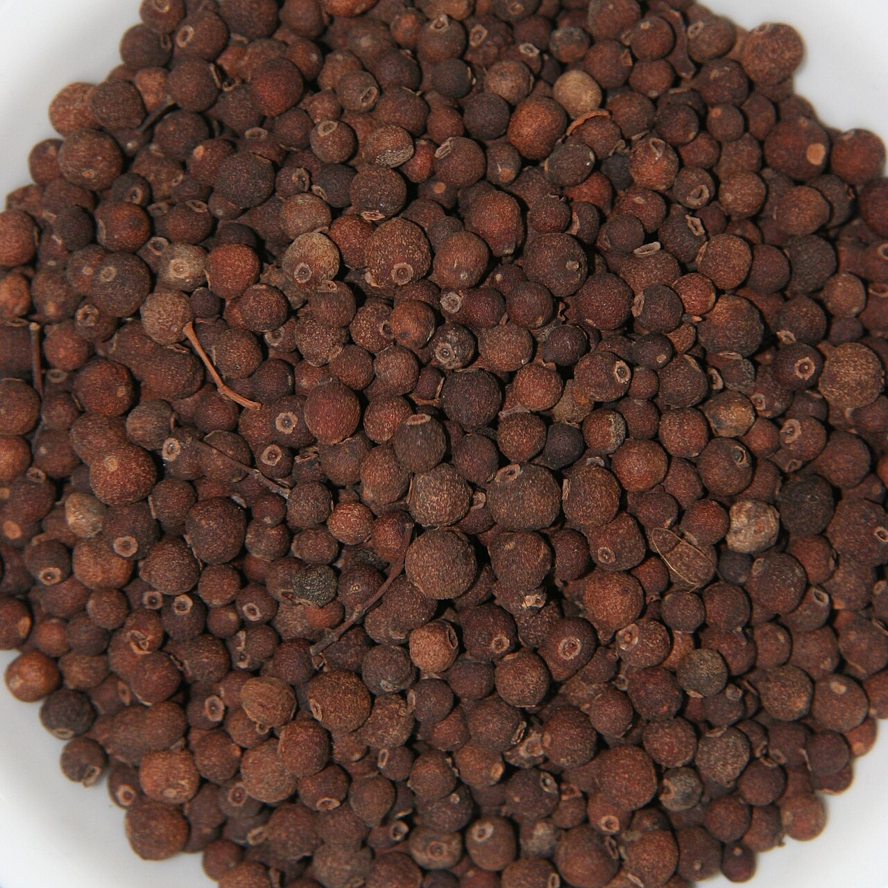 A bowl of whole allspice berries. A bowl of whole allspice berries.