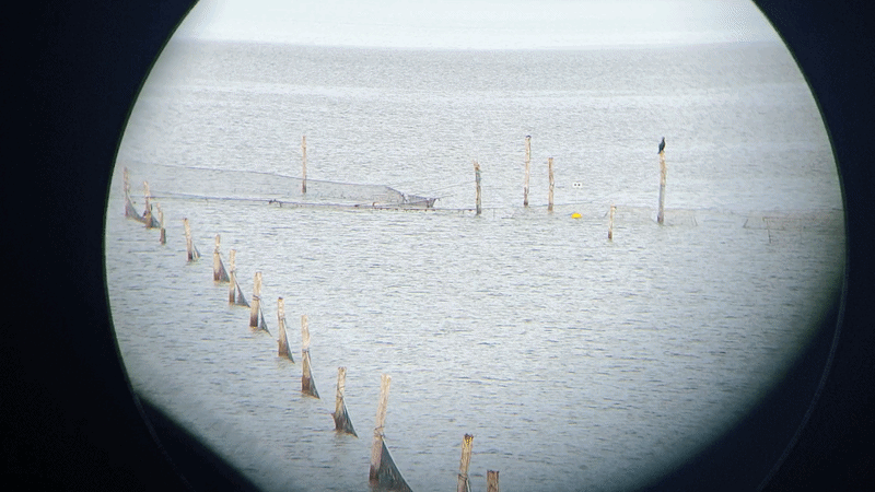 A short gif of the LEB in action showing the eyes spinning round. A short gif of the LEB in action showing the eyes spinning round.
