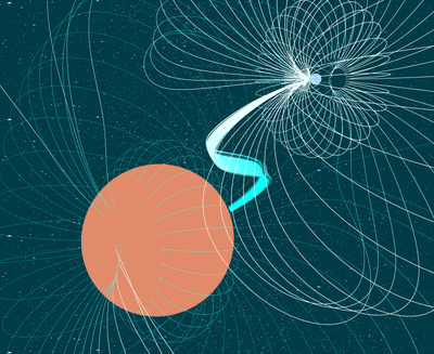 Artists’ impression of the white dwarf binary ASKAP J1745-5051. The smaller, dense white dwarf star is accreting material from the larger, but less dense red dwarf star. The interaction of their magnetic fields and the heat from the material accretion creates signals in radio and X-ray light frequencies.