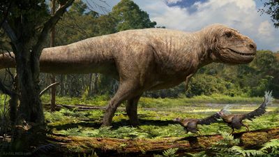 palaeoart showing a t rex walking in a forest clearing