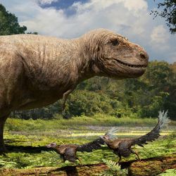 palaeoart showing a t rex walking in a forest clearing