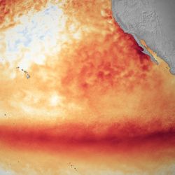 Satellite sea surface temperature departure in the Pacific Ocean for the month of October 2015, where darker orange-red colors are above normal temperatures and are indicative of El Niño