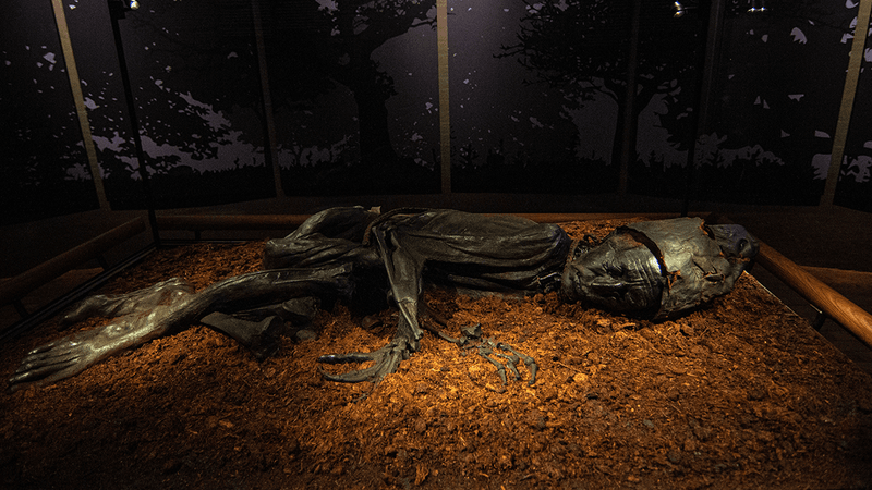 A well-preserved bog body, believed to be around 2,000 years old.