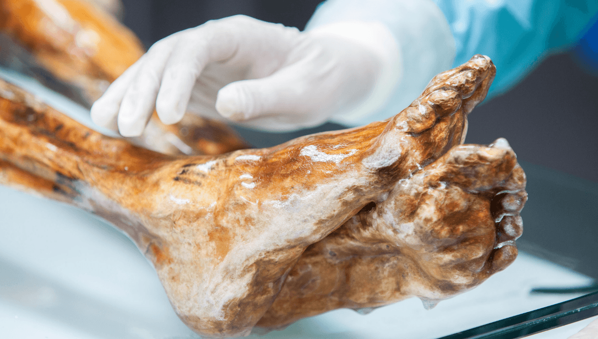 Scientists revive Ötzi yeasts and bake sourdough