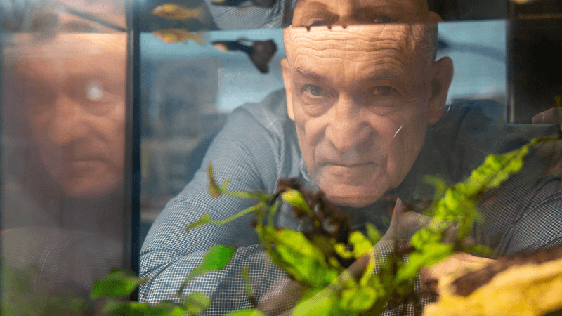 A man stares through a clear fish tank with two small fish at the top