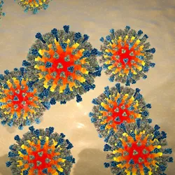 measles virus 3D illustration