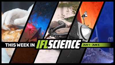 All the biggest science news stories of the week.