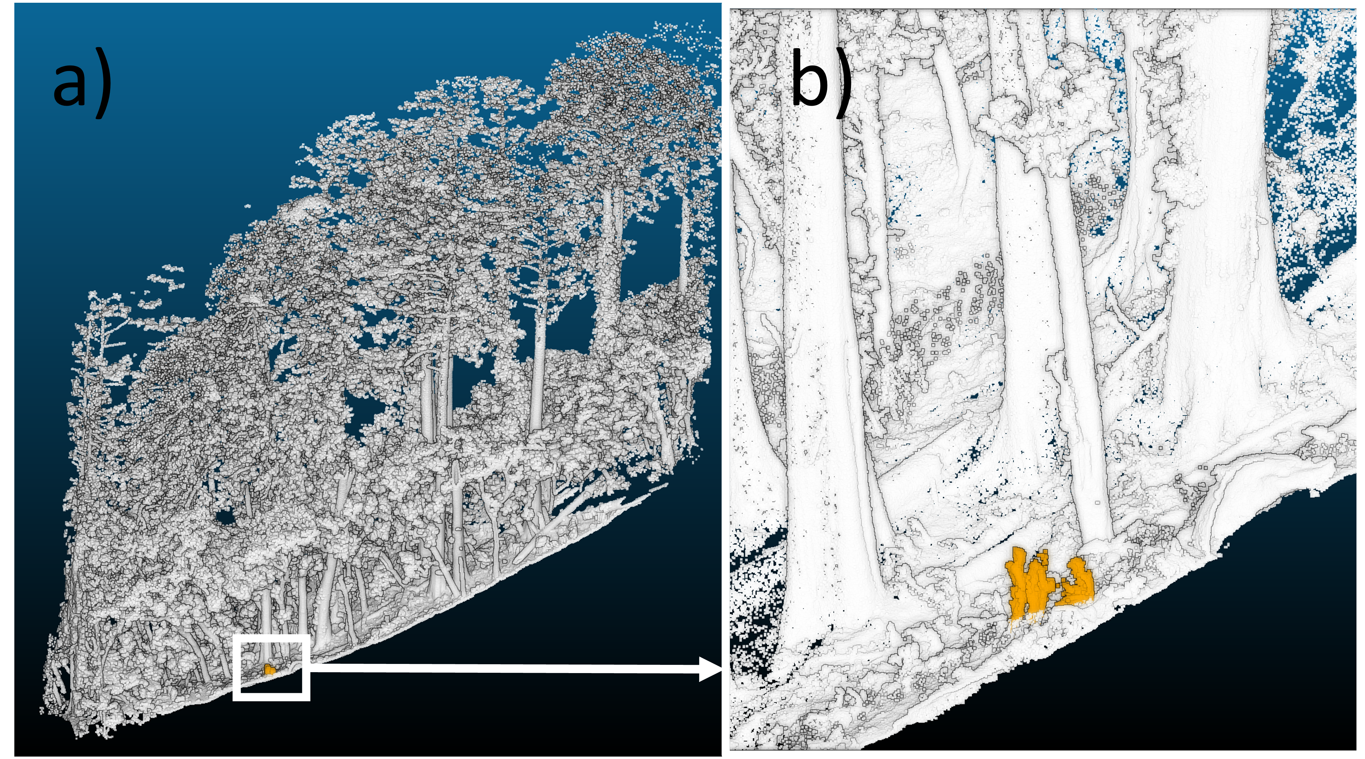LiDAR data was used to scour through the thousands of trees: here, you can see it picking out three people within the giant forest.