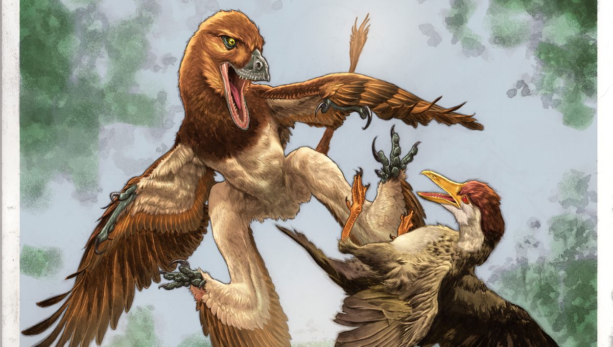 Newly Discovered Velociraptor Cousin With 4 “Wings” Might Have Flown Like A Flying Squirrel – And It’s Solved A Longstanding Mystery