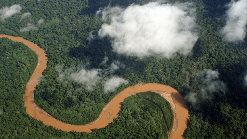 a stretch of windy river carves through the dense trees of the bolivian amazon rainforest