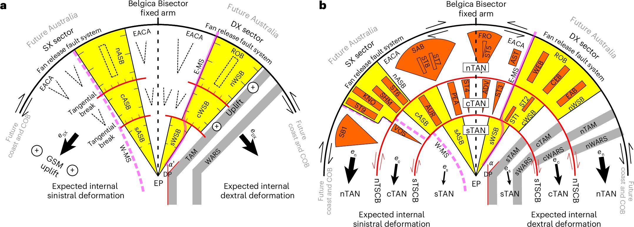 This fiddly diagram from the study shows the researchers think the structure "fanned" out from the South Pole. This fiddly diagram from the study shows the researchers think the structure "fanned" out from the South Pole.