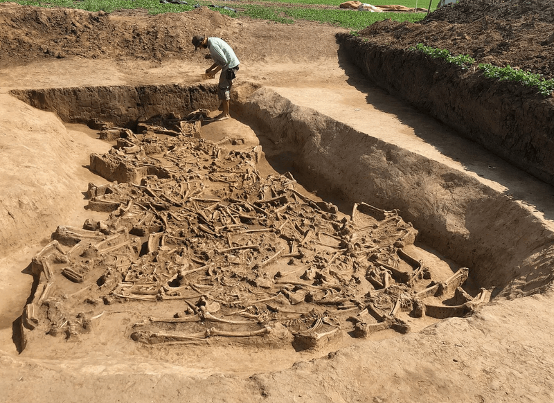 Uncovering and recovering such a find is a special challenge for the archaeologists.