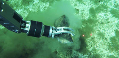 Recovery of whale fossil bones using the robotic arm of the Chinese submersible Fendouzhe on the deep seafloor of the Diamantina Zone.
