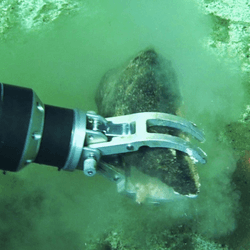Recovery of whale fossil bones using the robotic arm of the Chinese submersible Fendouzhe on the deep seafloor of the Diamantina Zone.