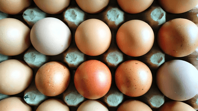 an egg box filled with brown eggs and white eggs