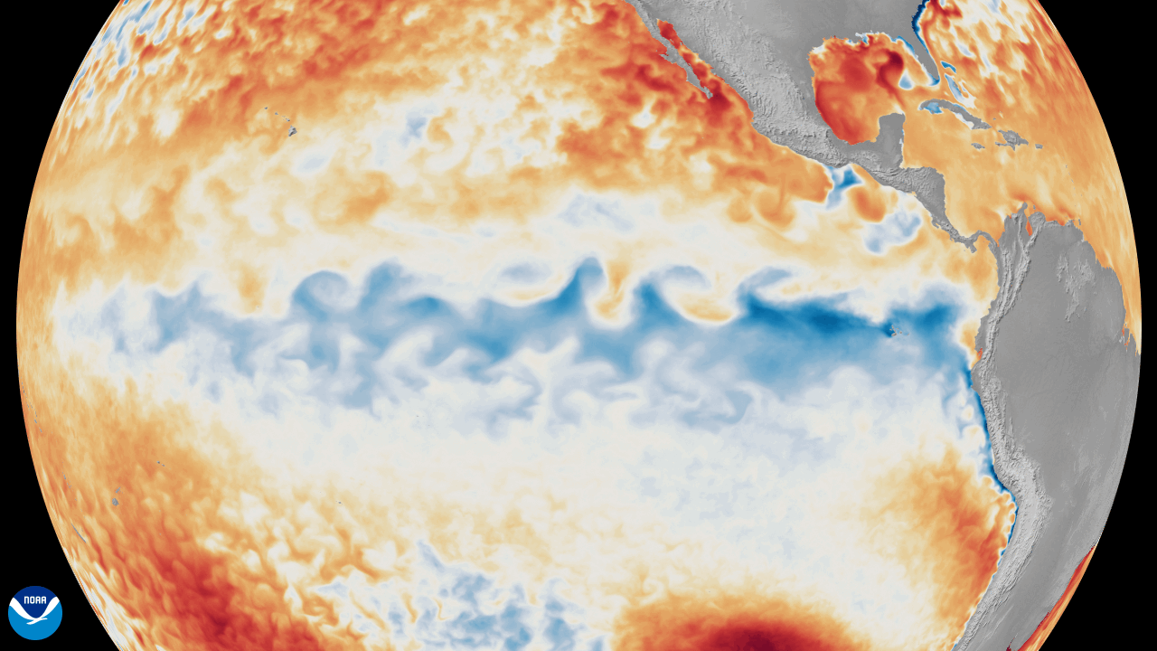 An animation of the change in sea surface temperature departures from average in the tropical Pacific Ocean, from January 1 through June 8, 2026. An animation of the change in sea surface temperature departures from average in the tropical Pacific Ocean, from January 1 through June 8, 2026.