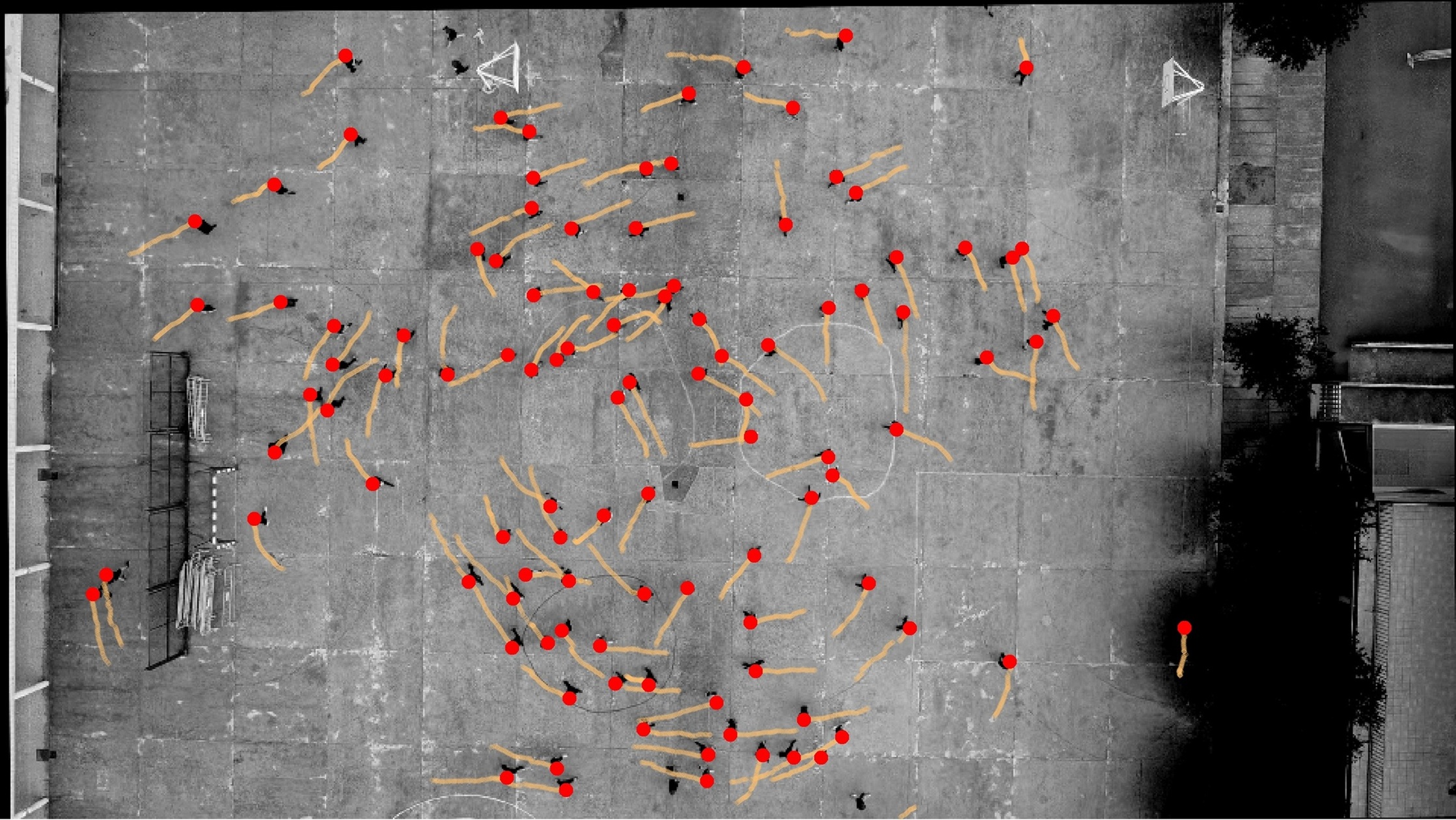 Taken from above, this annotated image shows a schoolground in Spain and the motions of teenage participants as indicated by the dots and lines. Taken from above, this annotated image shows a schoolground in Spain and the motions of teenage participants as indicated by the dots and lines.