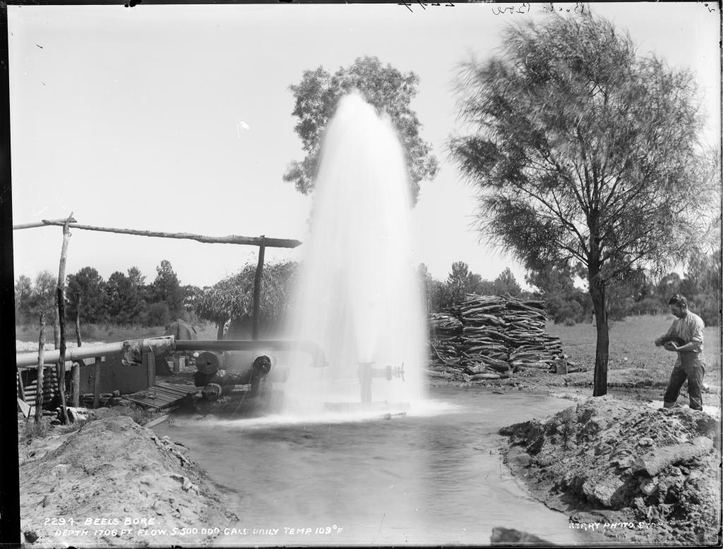 Most Great Artesian Basin bubble gently, but in 1898 Beel's Bore near Cunnamalla had so much pressure it spouted like a geyser