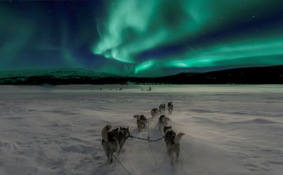 Dogs pulling sledge beneath the Northern Lights