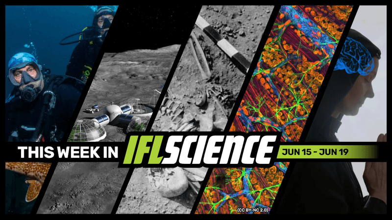 All the biggest science news stories of the week.