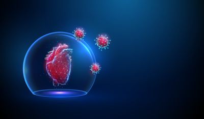 3D illustration of a human heart surrounded by a protective bubble with virus particles unable to penetrate it