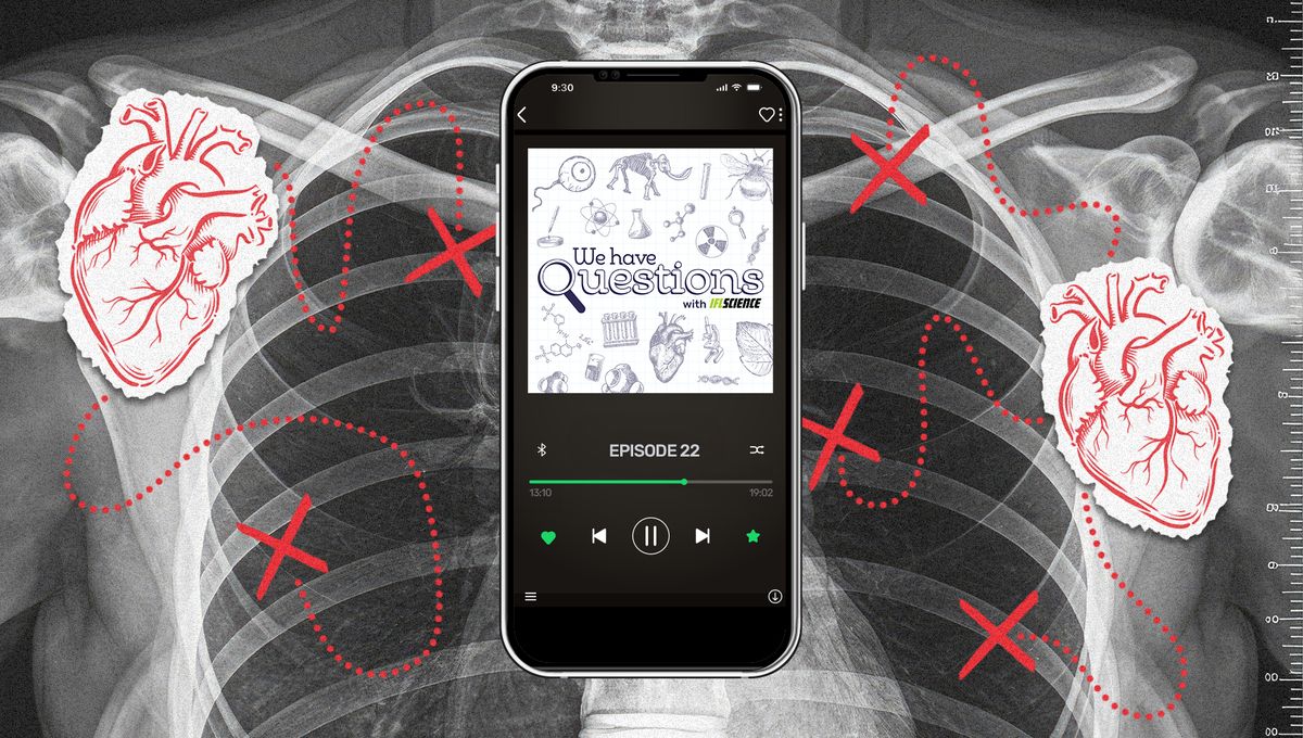 Where Is The Human Heart Located?