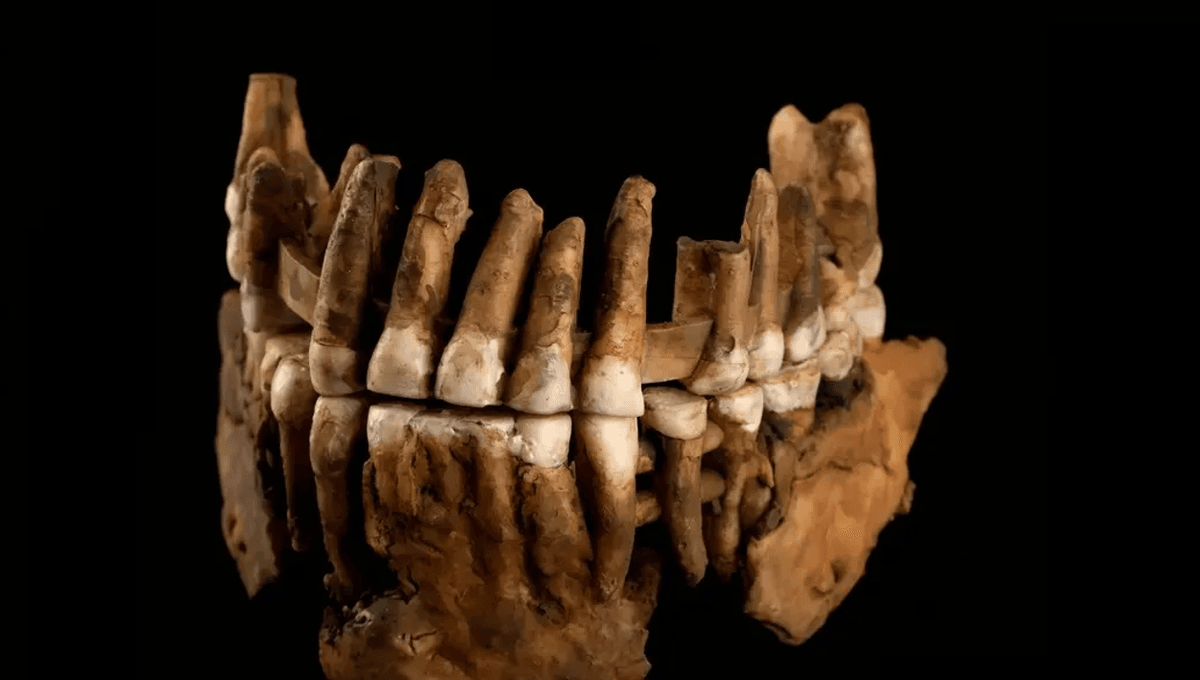 The Mystery Of Thorin: For 50,000 Years, A Cave-Dwelling Population Of Neanderthals Stayed Isolated From Their Peers
