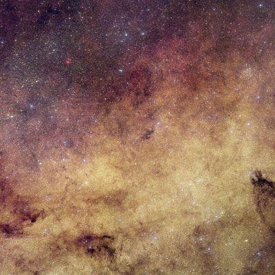 The image show a few dark nebulae and so many stars together that you can't really distinguish them