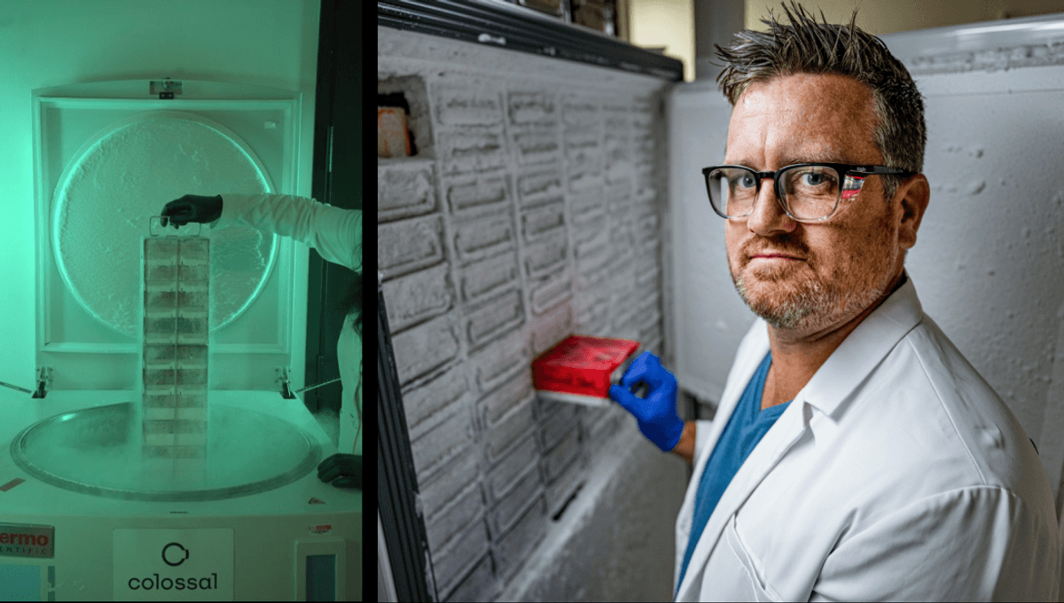 Genetic Bottlenecks Are Bad News For Endangered Species. Plans To Biobank 2,300 Threatened Plants And Animals Will Create A “Modern-Day Noah’s Ark” On Ice