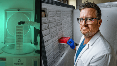 matt james stands in front of a frozen storage system containing animal cells