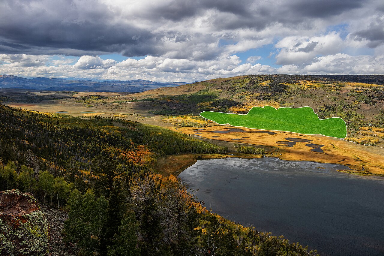 Aerial image of the Pando Tree in Utah, with approximate boundary marked in green.