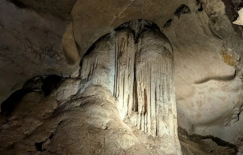 The stalactites of Cathedral Cave draw they eye, but there is more scientific interest in fossils found in the cave floor below.