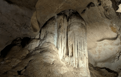 The stalactites of Cathedral Cave draw they eye, but there is more scientific interest in fossils found in the cave floor below.