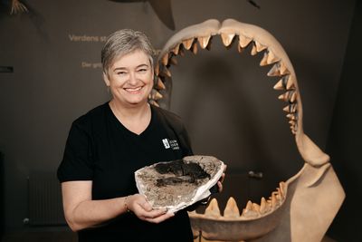 Mette Elstrup holding a 10.8-million-year-old vertebral fossil specimen of the extinct megatooth shark, Otodus megalodon.