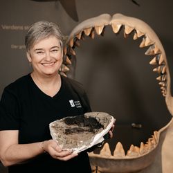 Mette Elstrup holding a 10.8-million-year-old vertebral fossil specimen of the extinct megatooth shark, Otodus megalodon.