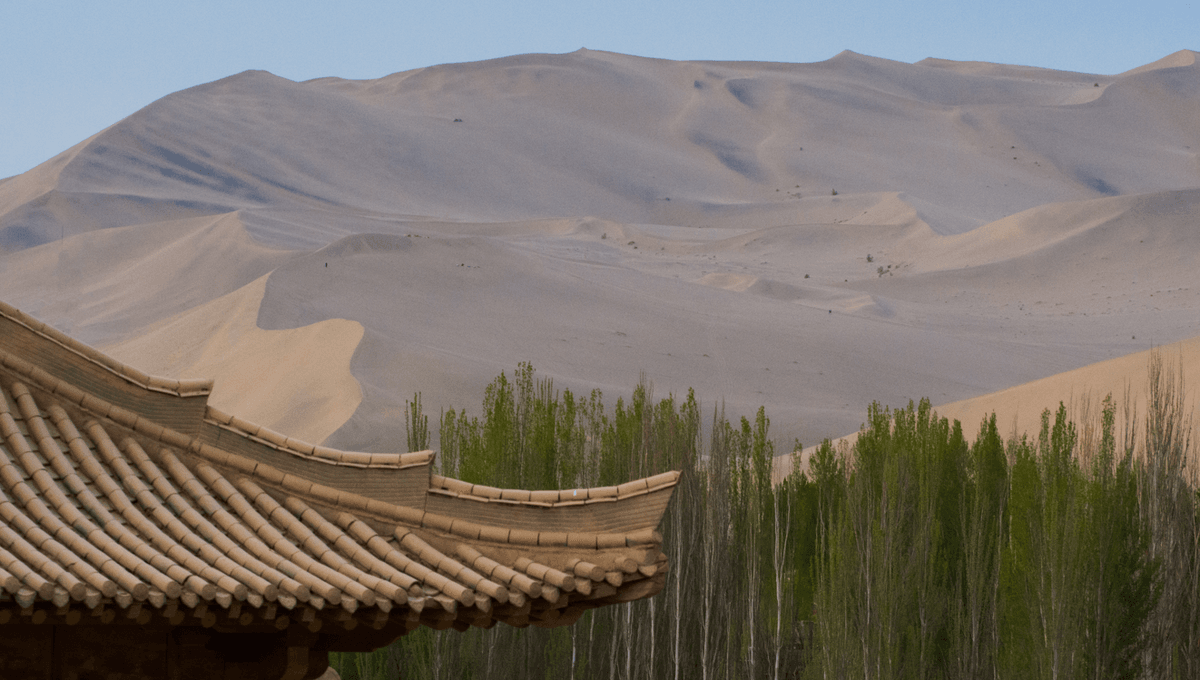 The 66 Billion Trees of China’s Largest Reforestation Project Aren’t Acting Like a Natural Forest - IFLScience image