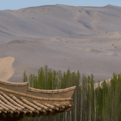 The Mingsha Desert peaks over an old-style house and fresh forests in Gansu Province, Northwestern China.