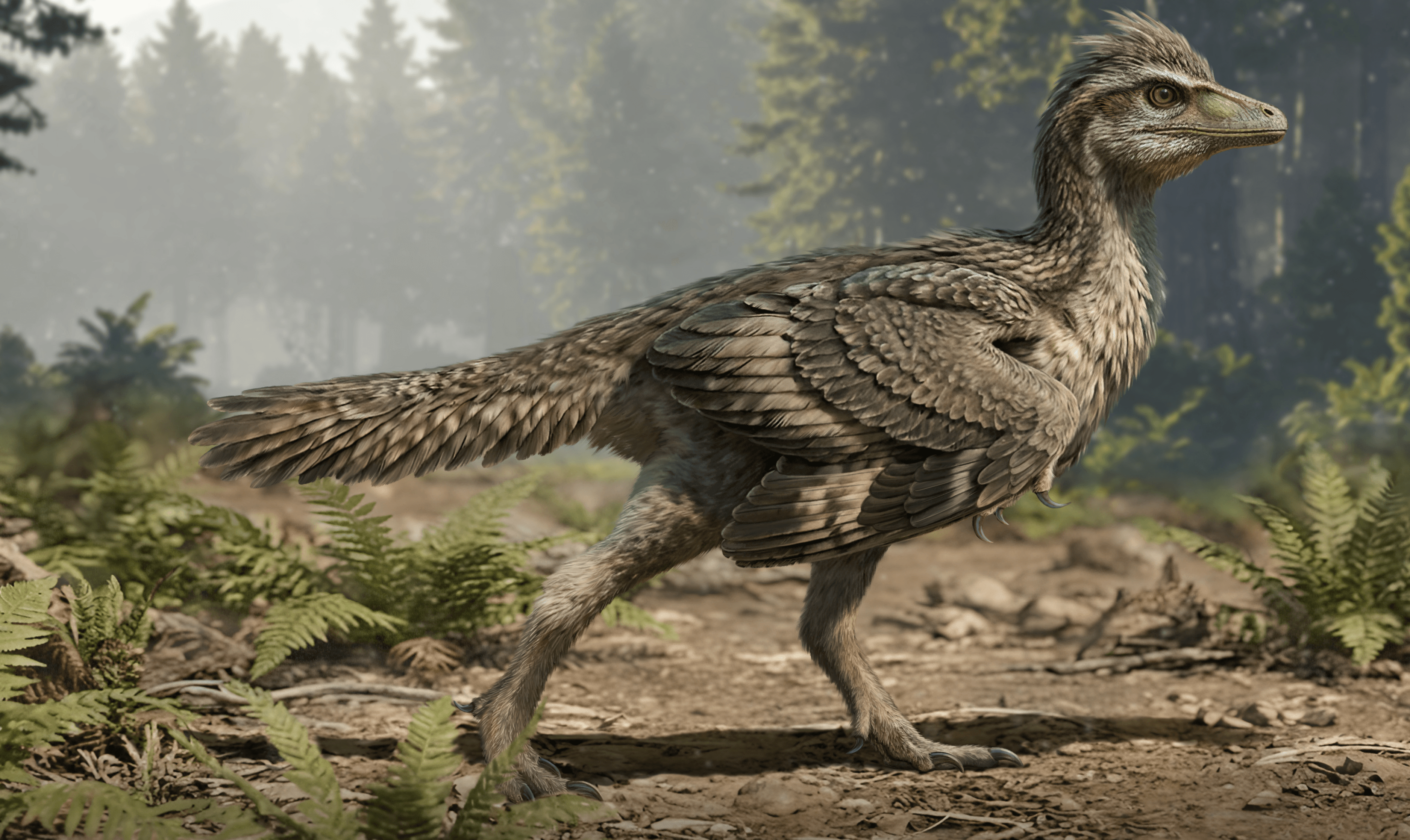 An artists reconstruction of Z. buyu, showing it as a feathered dinosaur walking along the ground with a shorter tail.