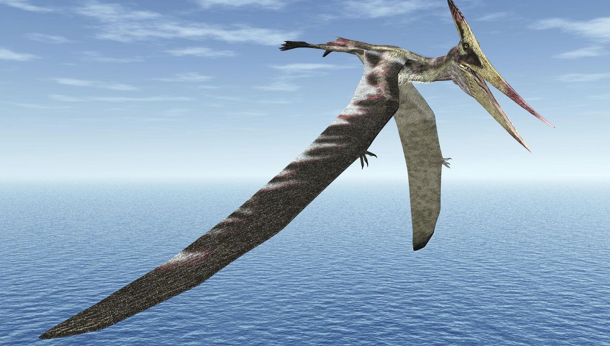 Incredibly Preserved “Time Capsule” Fossil Pterosaur Wing Has Chemical Traces That Reveal Its Squid-Guzzling Diet