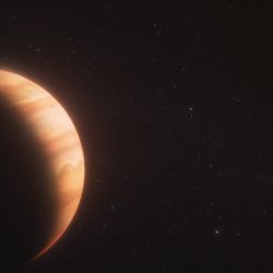 artist impression of a jupiter looking planet and a bright white dwarf in the distance