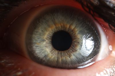 A close up picture of an eye.
