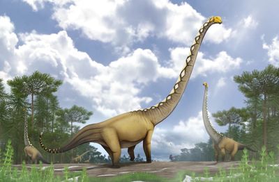A reconstruction of the new species of dinosaur showing it in a forest glade.