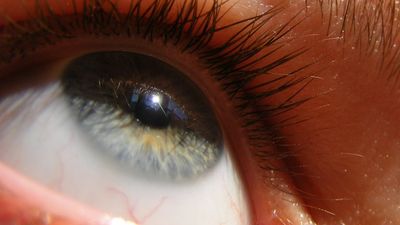 close-up of an eye