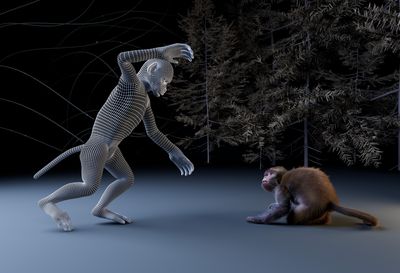 Monkey freaked out by weird avatar