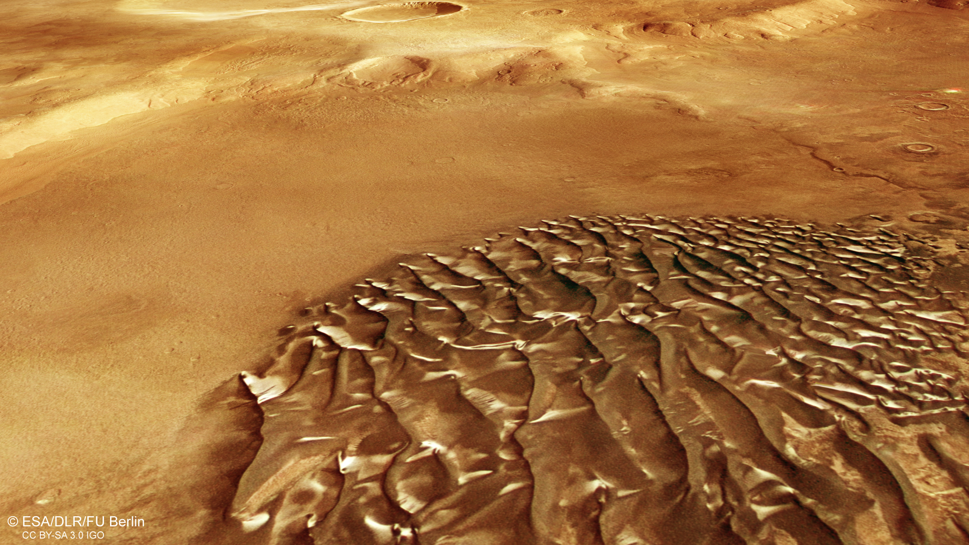 Metallic-looking sand dunes on Mars, with several craters visible in the background.