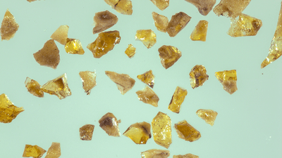 Amber fragments on a pale blue background