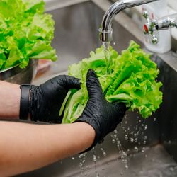 close up of person wearing black gloves washing lettuce in a stainless steel sink